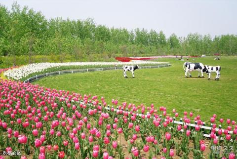 菏泽曹州牡丹园旅游攻略