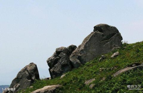 农五师怪石峪风景区旅游攻略 之 石猴母子