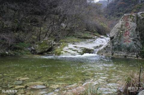 西安翠华山旅游风景区旅游攻略 之 双龟戏水