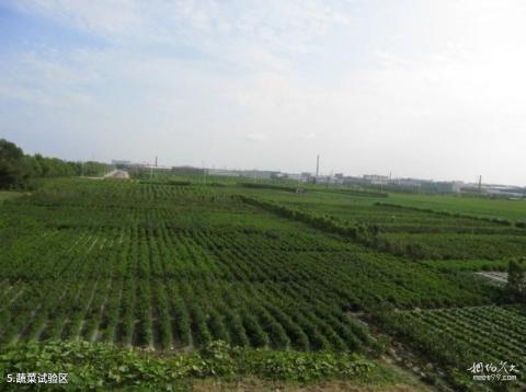 黑龙江省农业科学院园艺分院旅游攻略 之 蔬菜试验区
