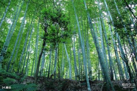 彭山县彭祖故里旅游攻略