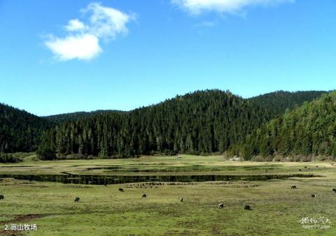 霞给藏族文化村旅游攻略 之 高山牧场