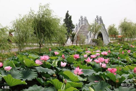 河南济源小沟背银河峡景区旅游攻略