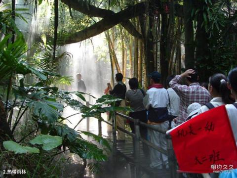 深圳青青世界旅游攻略 之 热带雨林