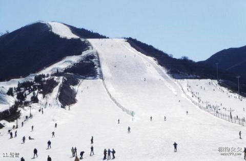 贾汪督公湖旅游区旅游攻略 之 滑雪