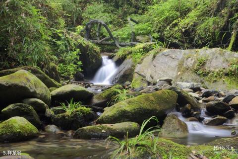 安康双龙生态旅游度假区旅游攻略 之 祥龙谷