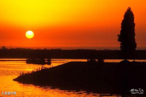 银川鸣翠湖国家湿地公园旅游攻略 之 东堤夕照