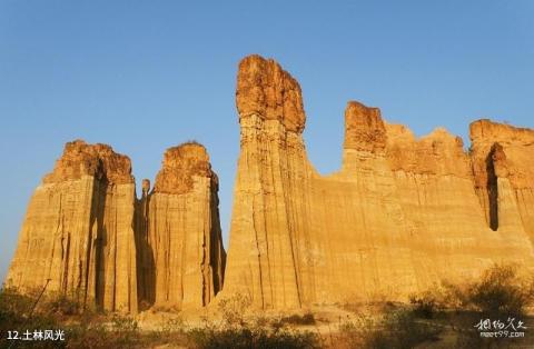 元谋土林景区旅游攻略 之 土林风光