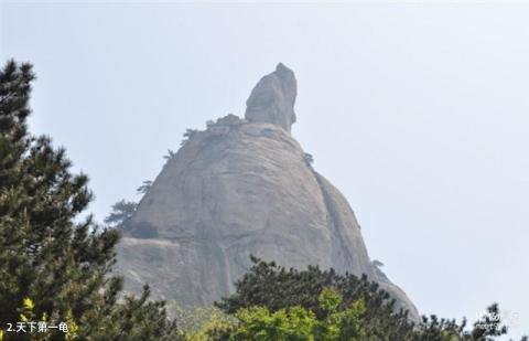 麻城龟峰山风景区旅游攻略 之 天下第一龟