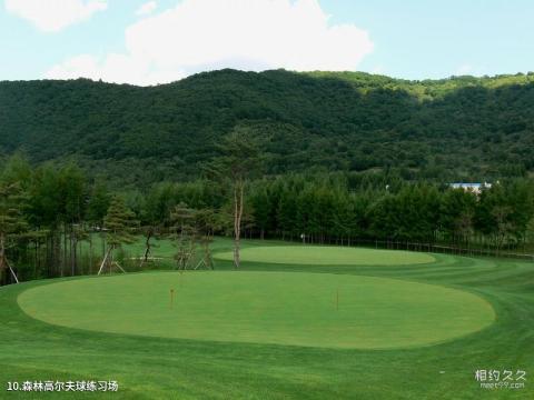 吉林长春净月潭景区旅游攻略 之 森林高尔夫球练习场