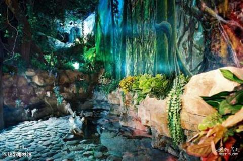西安曲江海洋馆旅游攻略 之 热带雨林馆