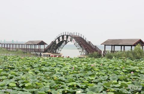 济宁微山湖风景名胜区旅游攻略 之 荷园