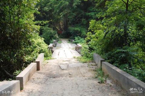 闽清凤凰山旅游攻略 之 石桥之上