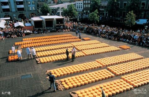 荷兰阿克马乳酪市场旅游攻略 之 广场