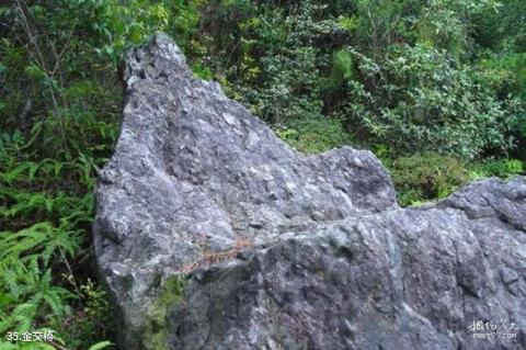 福建茫荡山风景区旅游攻略 之 金交椅