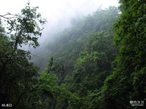 吉安井冈山风景区旅游攻略 之 水口