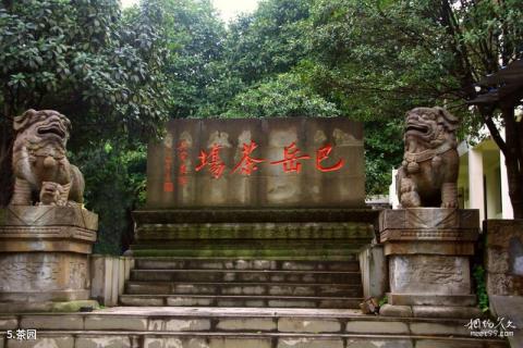 重庆巴岳山―西温泉风景区旅游攻略 之 茶园