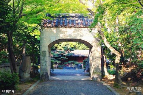 日本名古屋旅游攻略 之 桃严寺