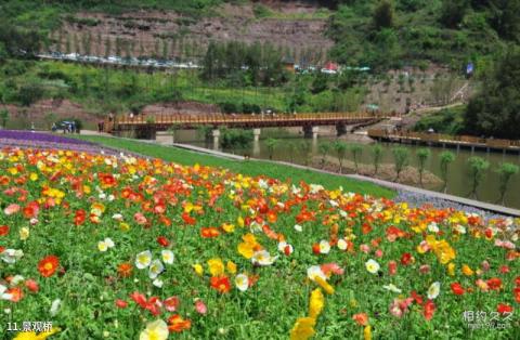 泸州纳溪花田酒地旅游景区旅游攻略 之 景观桥