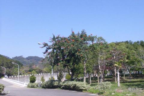 台湾鲤鱼潭水库旅游攻略 之 植被