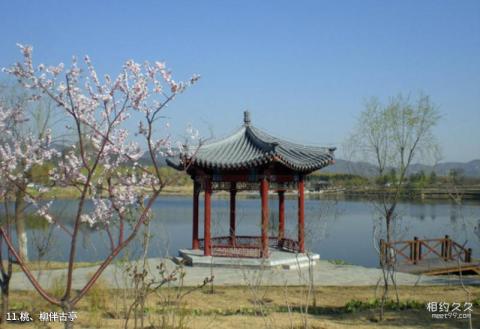 北京北坞公园旅游攻略 之 桃、柳伴古亭