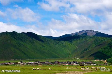 云南香格里拉旅游攻略 之 伊拉草原风情园