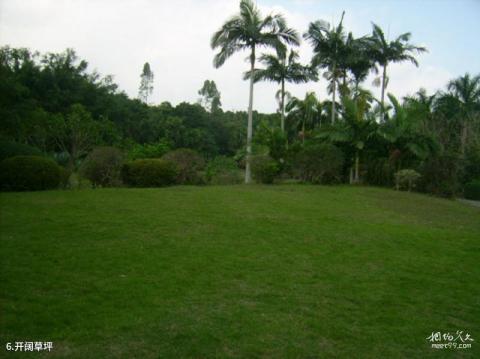 兴隆热带花园旅游攻略 之 开阔草坪