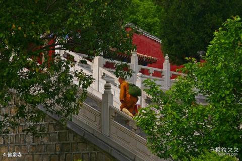 平顶山中原大佛旅游攻略 之 佛泉寺