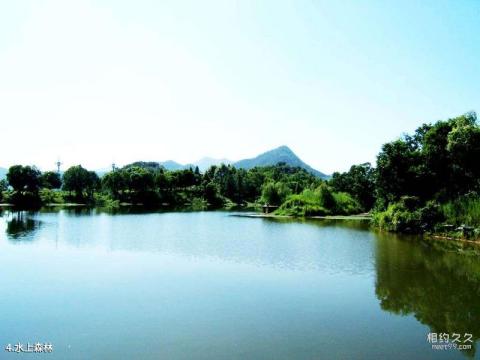 临安青山湖旅游攻略 之 水上森林