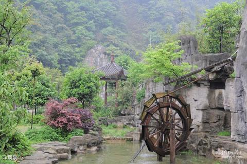 遵义大板水国家森林公园旅游攻略 之 风景