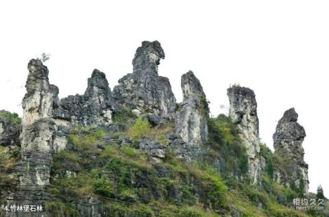 贞丰三岔河风景区旅游攻略 之 竹林堡石林