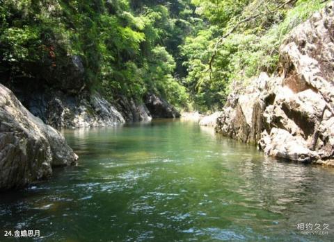 江西三百山风景名胜区旅游攻略 之 金蟾思月