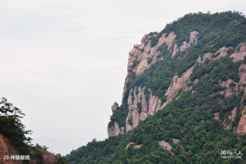 浙江神仙居风景名胜区旅游攻略 之 神猿献桃