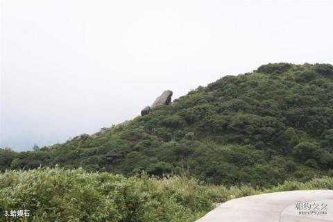 南岭国家级自然保护区旅游攻略 之 蛤蟆石