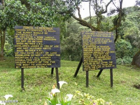 乞力马扎罗山风景区旅游攻略 之 南面低坡带