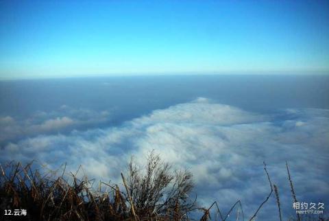 什邡蓥华山风景区旅游攻略 之 云海