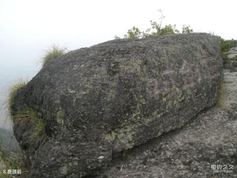 浙江神仙居风景名胜区旅游攻略 之 鹿颈岩