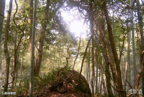 玉华洞风景名胜区旅游攻略