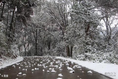 常德嘉山风景区旅游攻略 之 雪景