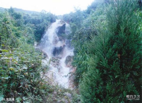 丫山花海石林旅游攻略 之 龙凤瀑