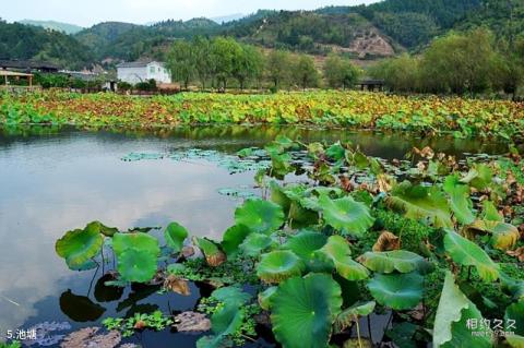 福建培田古村旅游攻略 之 池塘