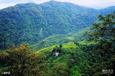 屏边大围山风景区旅游攻略 之 保护区