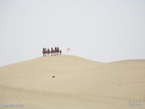 新疆罗布人村寨旅游攻略 之 塔克拉玛干沙漠