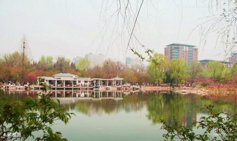 北京玉渊潭公园旅游攻略 之 鹂樱苑