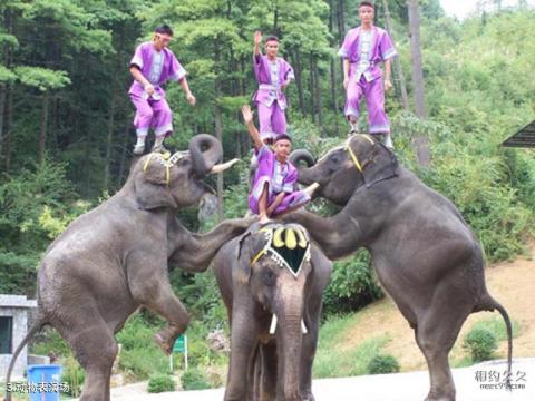 贵阳森林野生动物园旅游攻略 之 动物表演场