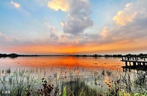 徐州潘安湖湿地公园旅游攻略 之 湿地