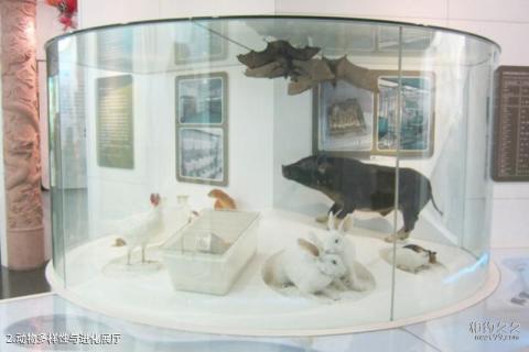 北京国家动物博物馆旅游攻略 之 动物多样性与进化展厅