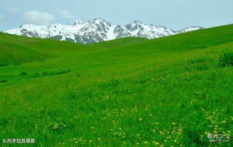 新疆伊犁河谷旅游攻略 之 托乎拉苏草原