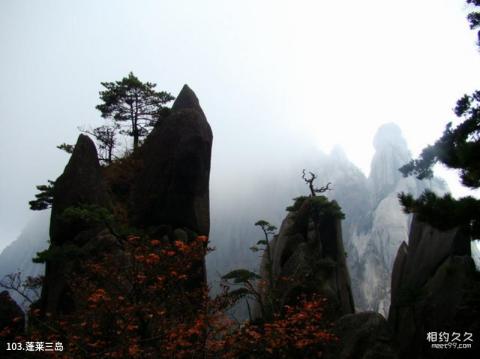 黄山风景区旅游攻略 之 蓬莱三岛