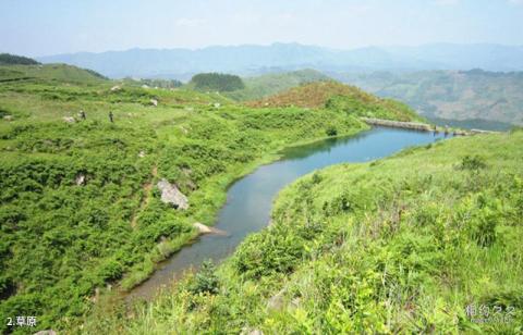 晴隆三望坪风景区旅游攻略 之 草原